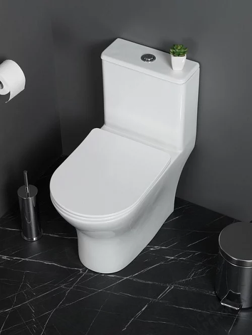 Фото Унитаз моноблок BelBagno Lounge BB8618CPR-MN/SC безободковый купить в Новокузнецке: цена, описание, фото. Интернет-магазин 1